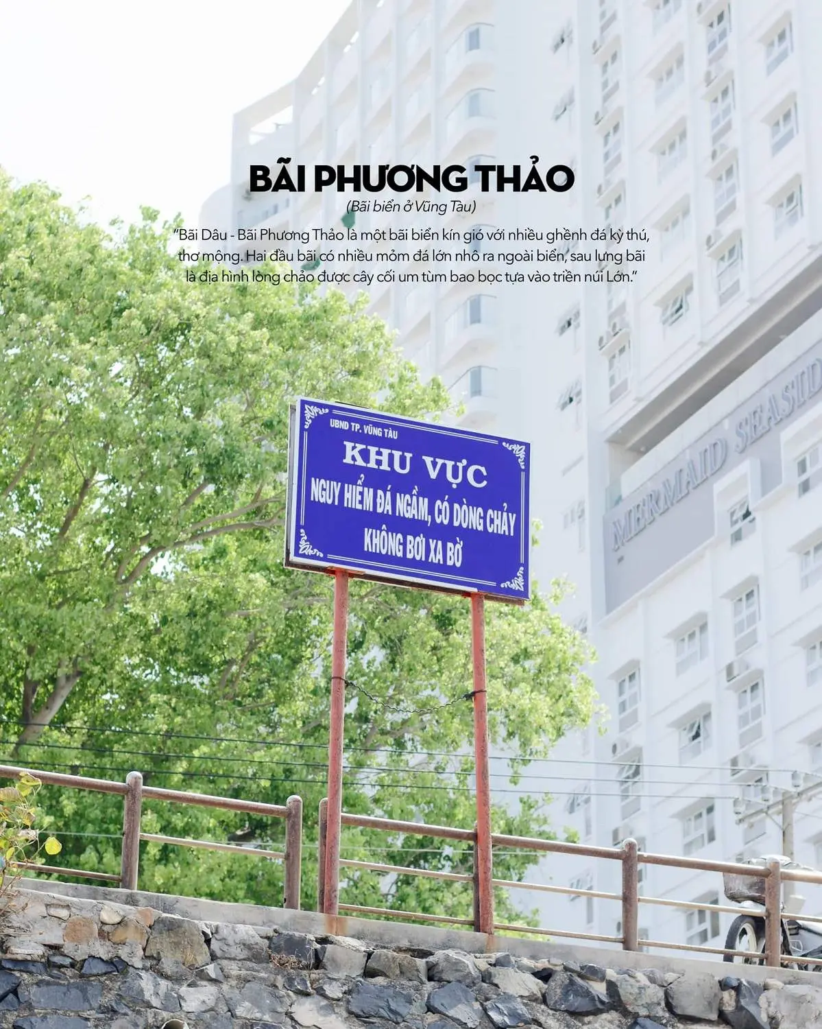 Kh&ocirc;ng chỉ c&oacute; mỗi con hẻm, B&atilde;i D&acirc;u Vũng T&agrave;u c&oacute; qu&aacute; trời thứ dễ thương lu&ocirc;n n&egrave; 9