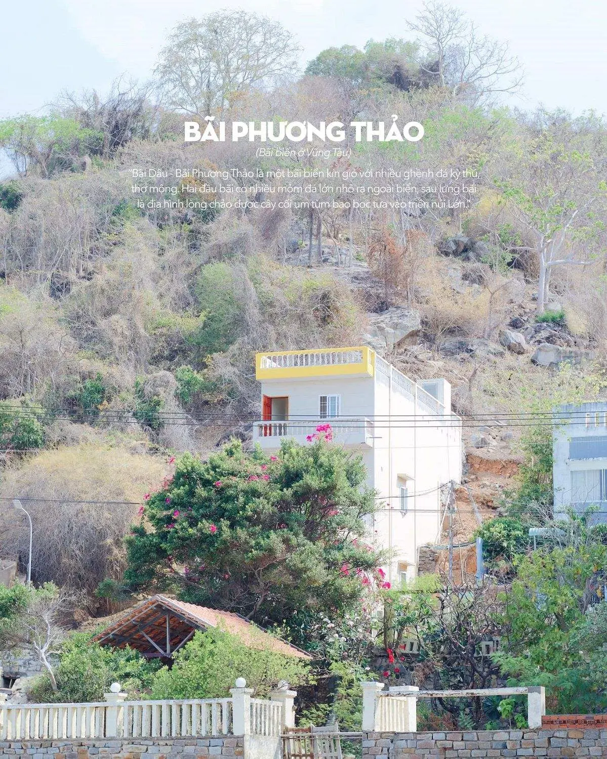 Kh&ocirc;ng chỉ c&oacute; mỗi con hẻm, B&atilde;i D&acirc;u Vũng T&agrave;u c&oacute; qu&aacute; trời thứ dễ thương lu&ocirc;n n&egrave; 6