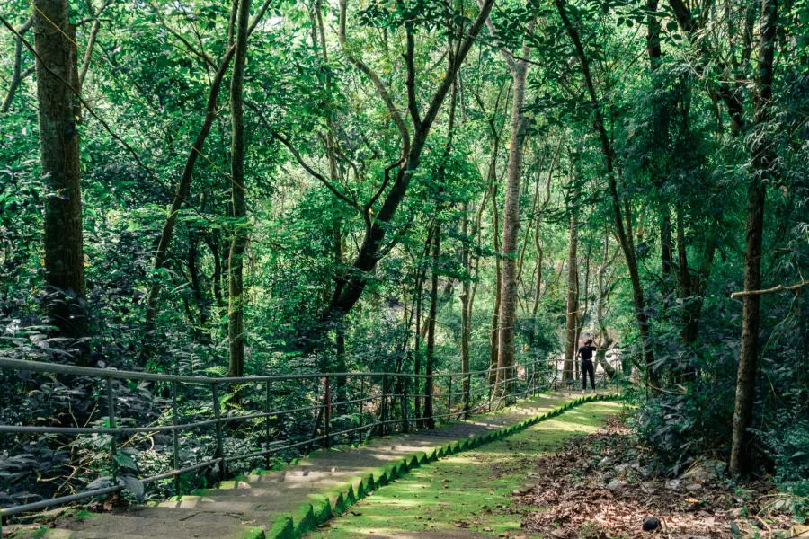 M&ugrave;a thu Vũng T&agrave;u đang về y&ecirc;n b&igrave;nh tr&ecirc;n từng con phố nhỏ 4