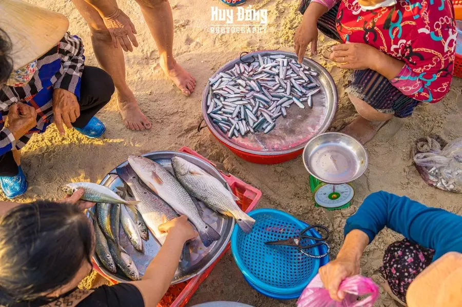 Nghề đ&aacute;nh c&aacute; ở B&atilde;i Sau Vũng T&agrave;u, n&eacute;t đẹp lao động qua bao thế hệ 8