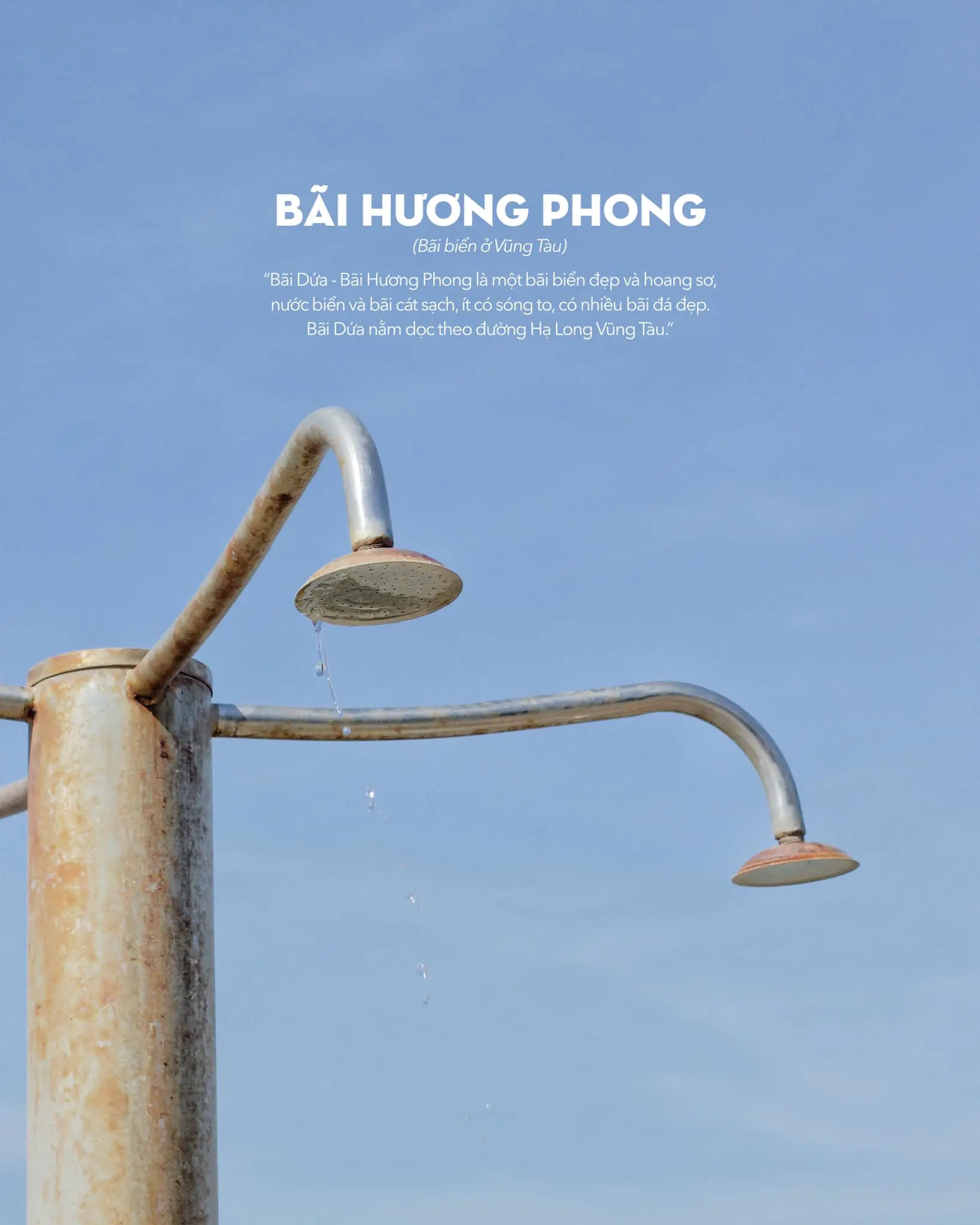 Ng&oacute; nghi&ecirc;ng, ng&oacute; dọc chớ qu&ecirc;n ng&oacute; lu&ocirc;n mấy điều dễ thương ở B&atilde;i Dứa Vũng T&agrave;u 9