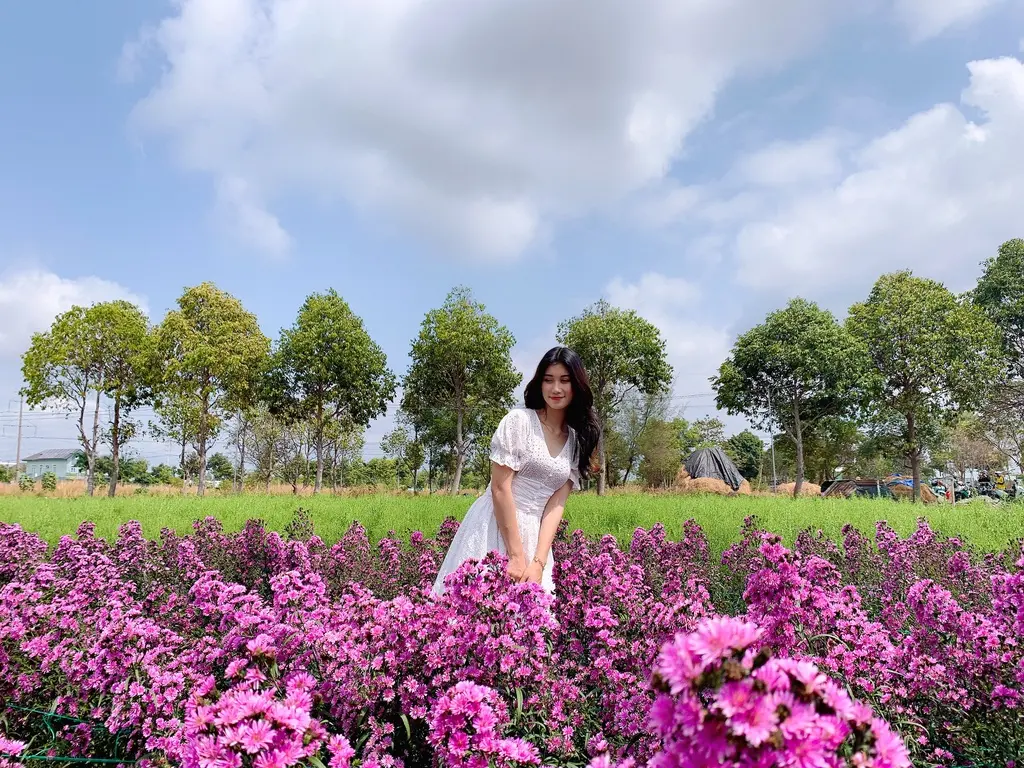 Nhẹ nh&agrave;ng một v&ugrave;ng trời t&iacute;m mộng mơ với sắc m&agrave;u của vườn hoa thạch thảo Vũng T&agrave;u 10