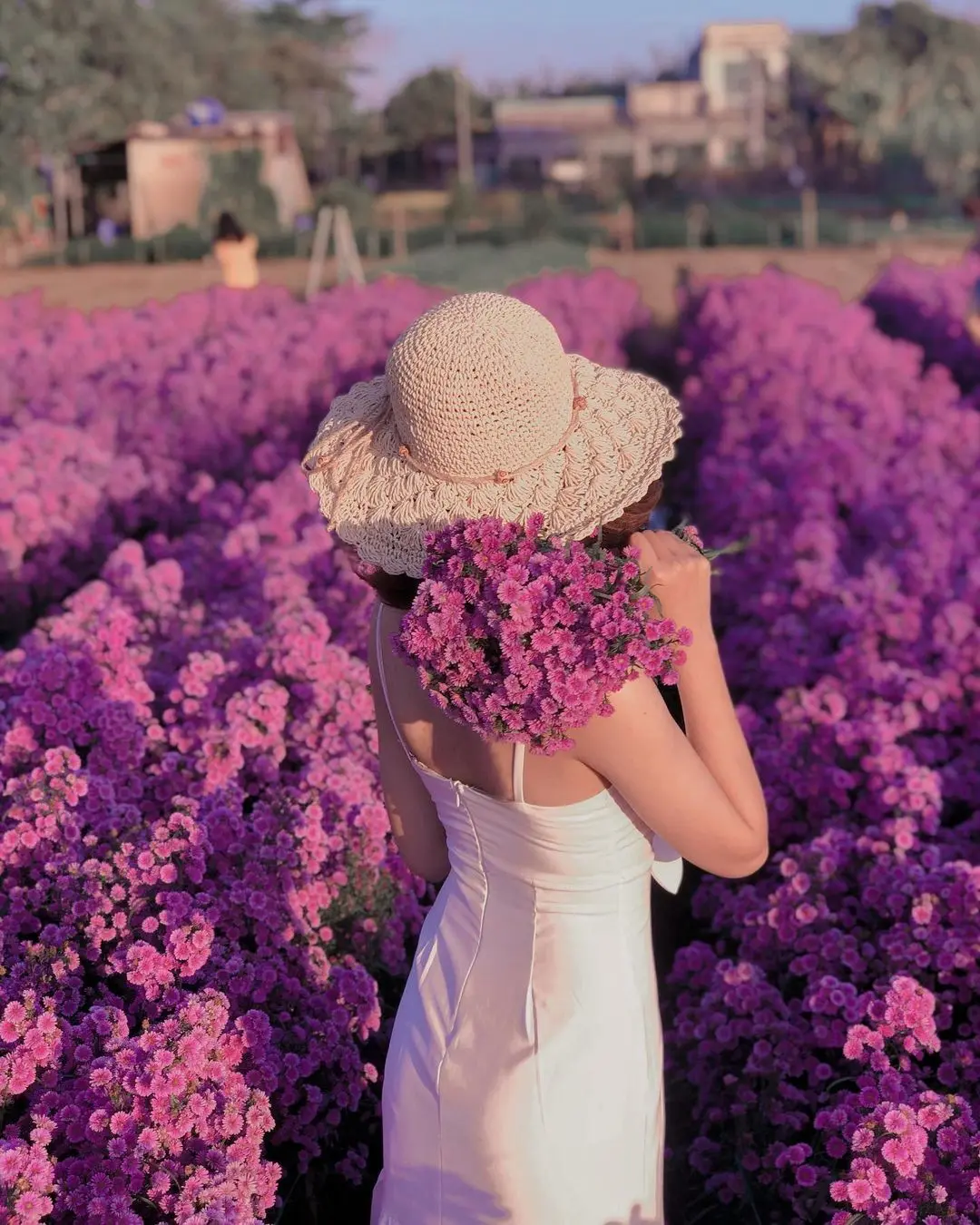 Nhẹ nh&agrave;ng một v&ugrave;ng trời t&iacute;m mộng mơ với sắc m&agrave;u của vườn hoa thạch thảo Vũng T&agrave;u 4