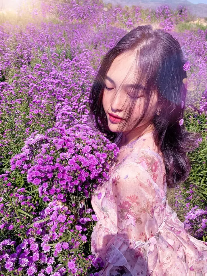 Nhẹ nh&agrave;ng một v&ugrave;ng trời t&iacute;m mộng mơ với sắc m&agrave;u của vườn hoa thạch thảo Vũng T&agrave;u 11