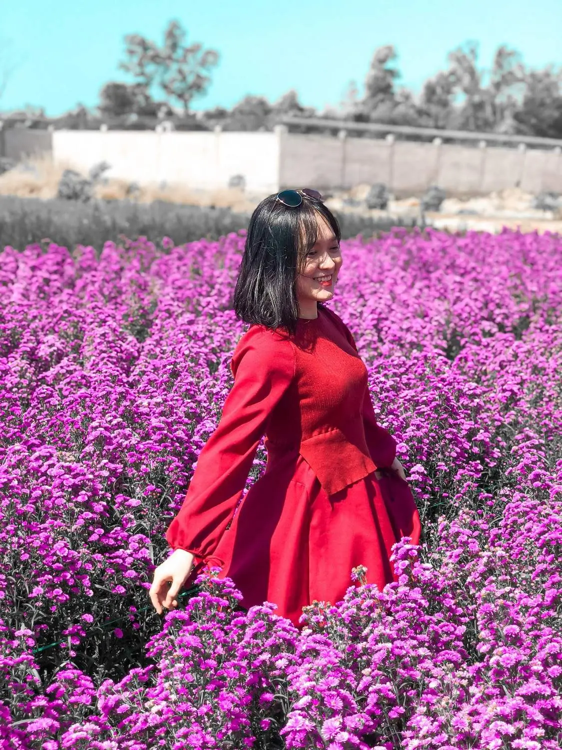 Nhẹ nh&agrave;ng một v&ugrave;ng trời t&iacute;m mộng mơ với sắc m&agrave;u của vườn hoa thạch thảo Vũng T&agrave;u 18