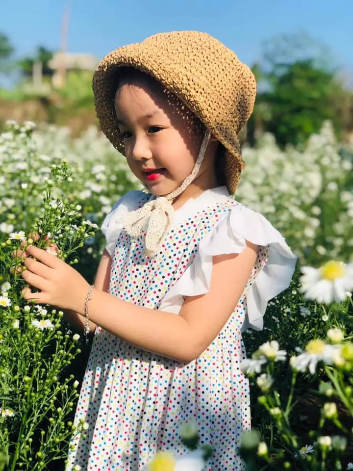 Nhẹ nh&agrave;ng một v&ugrave;ng trời t&iacute;m mộng mơ với sắc m&agrave;u của vườn hoa thạch thảo Vũng T&agrave;u 21