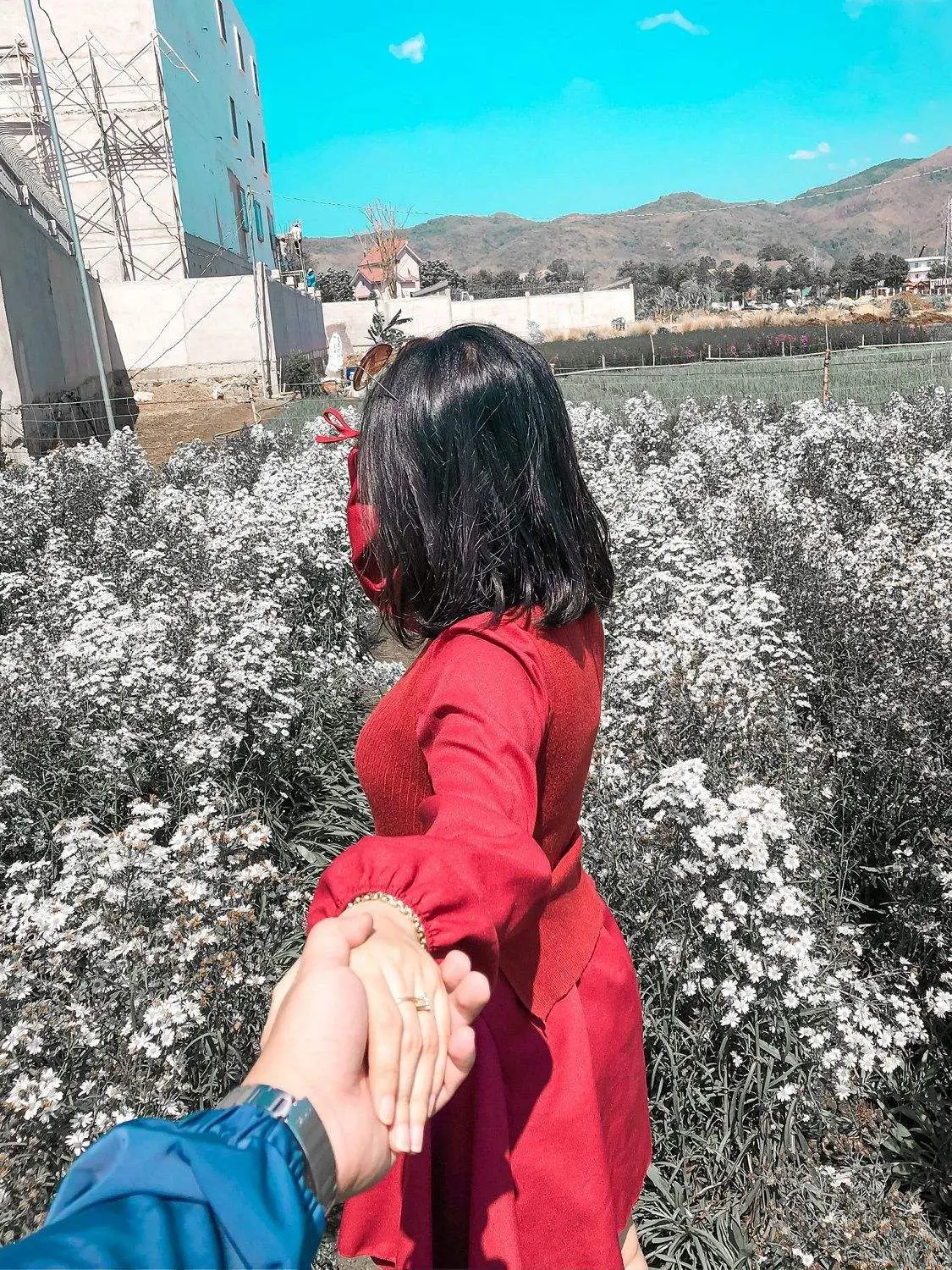 Nhẹ nh&agrave;ng một v&ugrave;ng trời t&iacute;m mộng mơ với sắc m&agrave;u của vườn hoa thạch thảo Vũng T&agrave;u 19