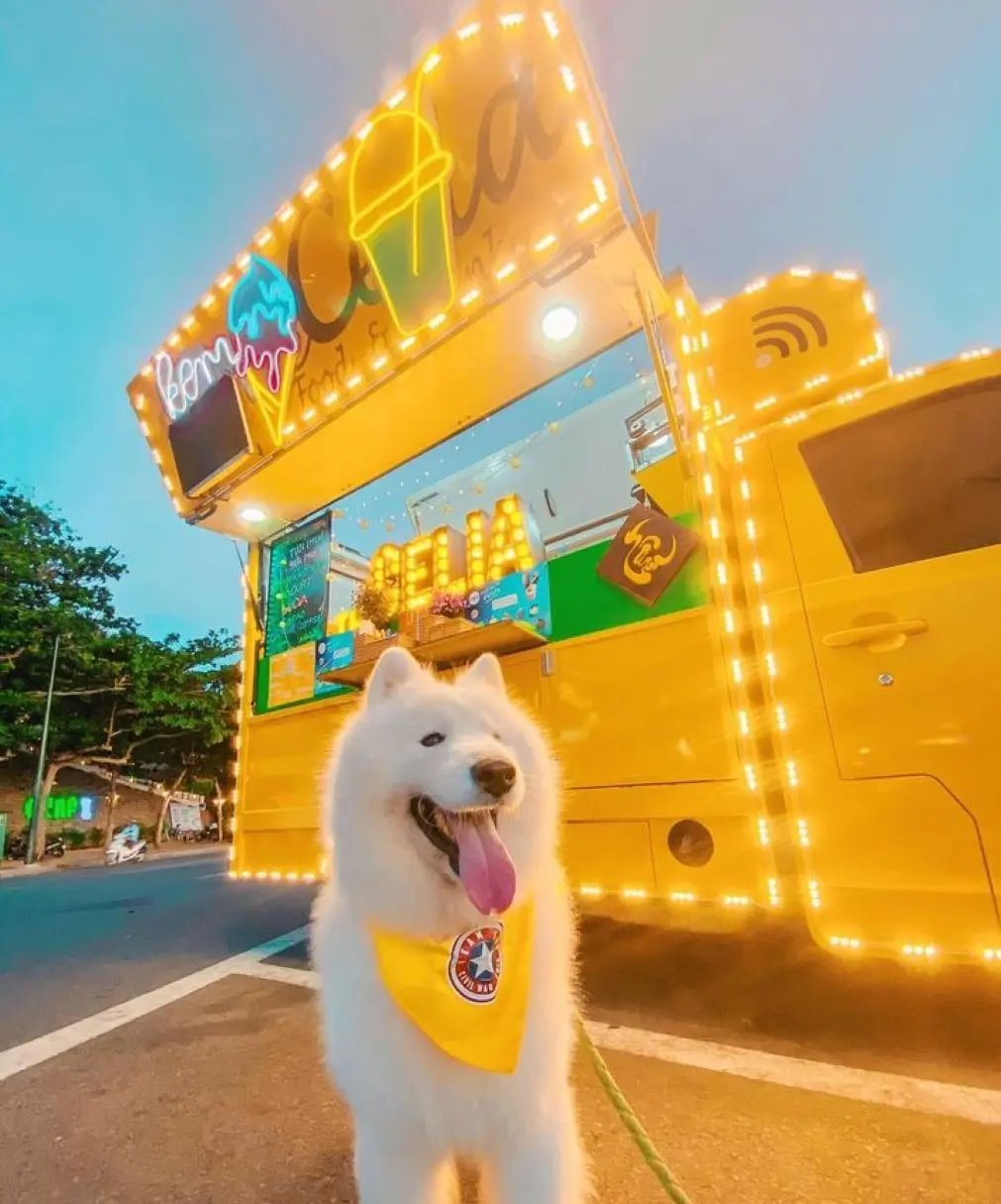 Review Vũng T&agrave;u 2 ng&agrave;y 1 đ&ecirc;m check-in to&agrave;n điểm hot c&ugrave;ng pet cưng 9