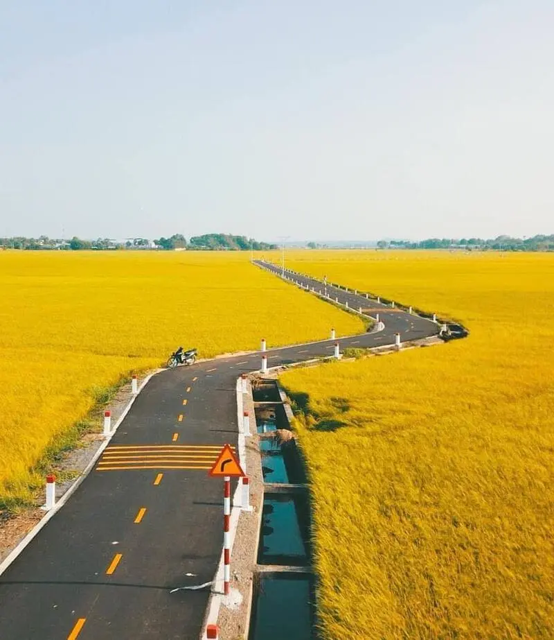 Thảo thơm hương đồng nội nơi C&aacute;nh đồng An Nhứt nổi tiếng Vũng T&agrave;u 8