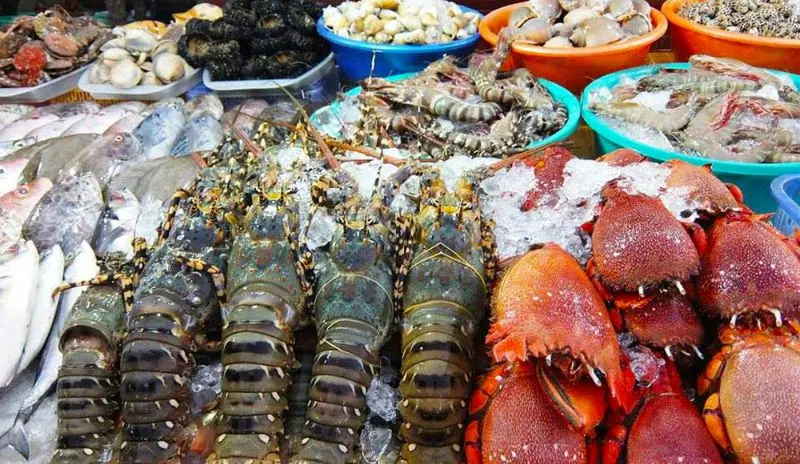 Trốn nóng tại khu du lịch San Hô Xanh có bãi biển đẹp nhất Vũng Tàu 7