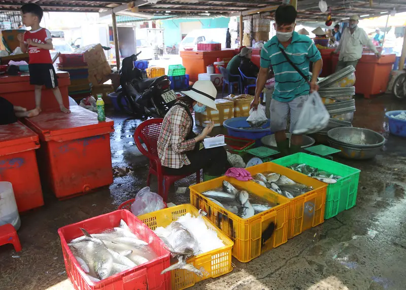 Về chợ Phước Hải thưởng thức hải sản tươi ngon 4