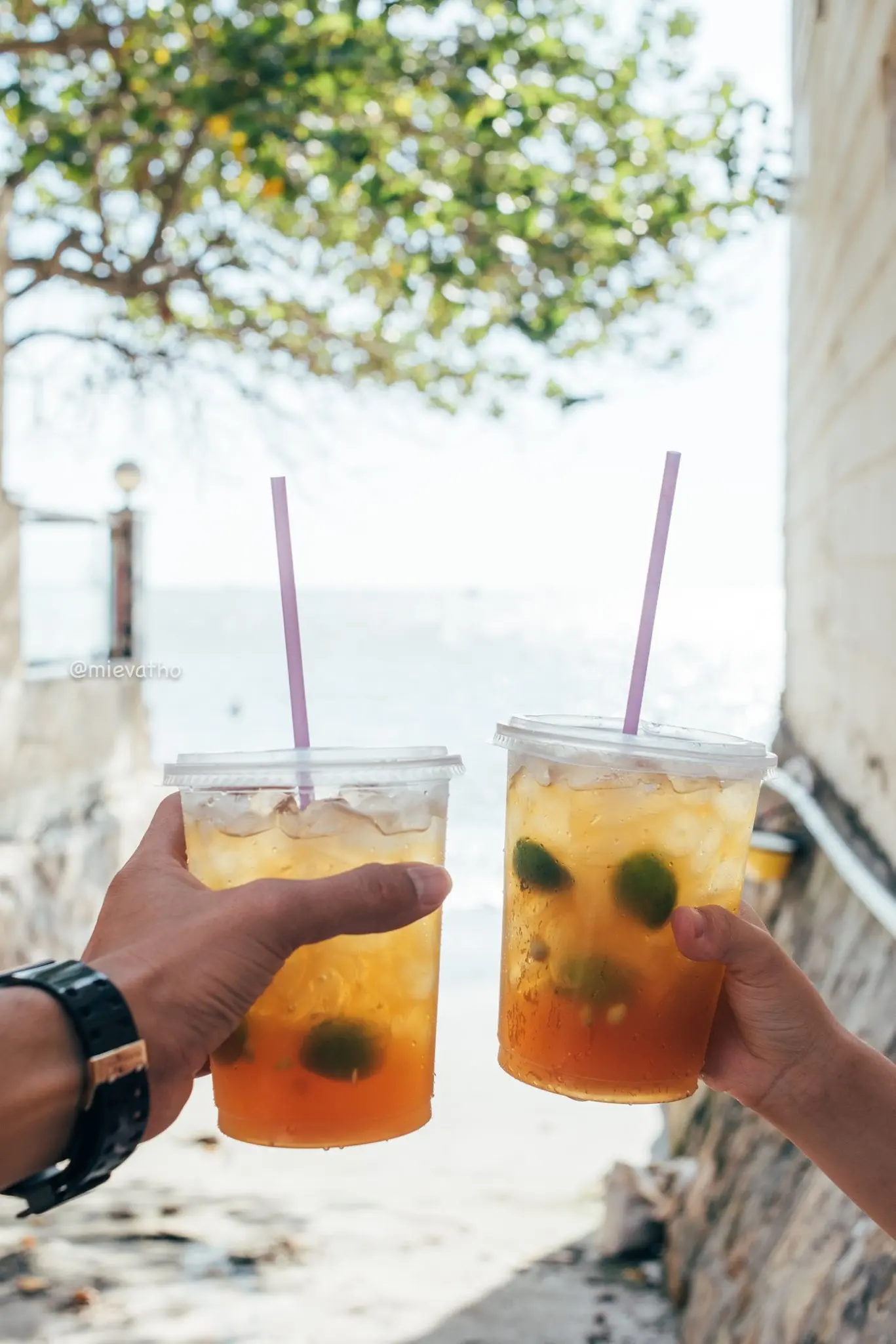 Vũng T&agrave;u v&agrave; một ng&agrave;y v&ocirc; định của cặp đ&ocirc;i mievatho 6
