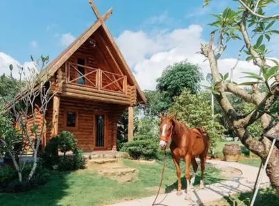 Đến Greenfield Farmstay trải nghiệm cuộc sống nông thôn