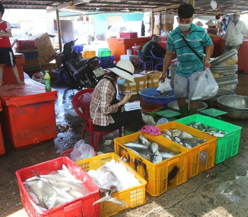 Về chợ Phước Hải thưởng thức hải sản tươi ngon
