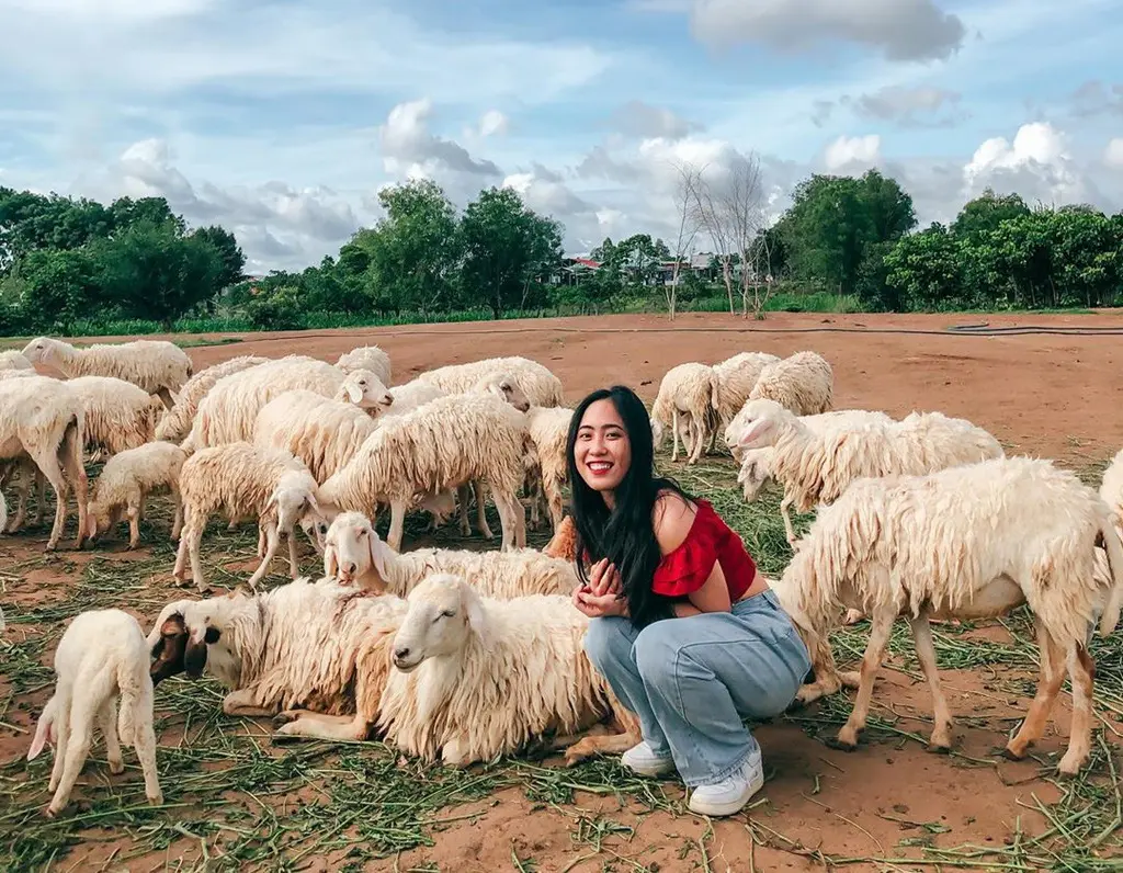 Gợi ý chi tiết lịch trình Vũng Tàu 1 ngày ý nghĩa dành cho bạn 3