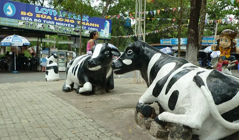 Lịch trình cắm trại Vũng Tàu 2N1Đ - Cắm trại trên Mũi Nghinh Phong 10