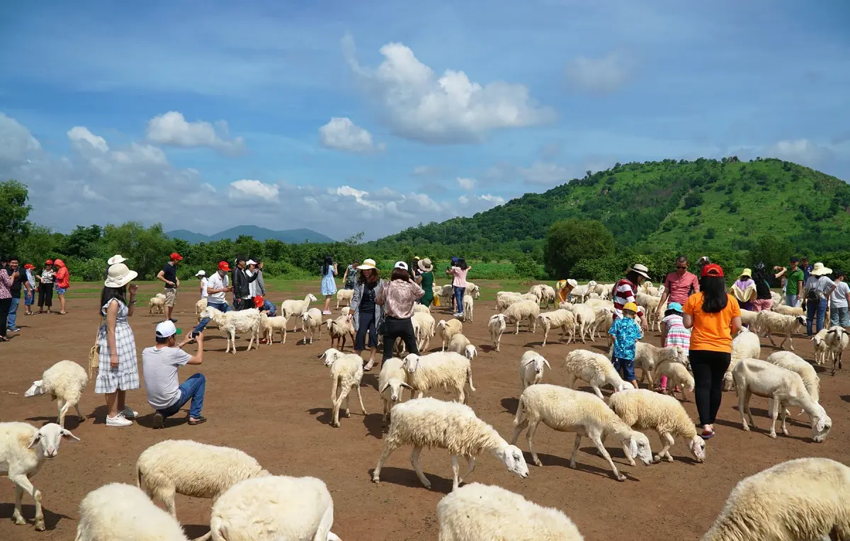 Lịch trình cắm trại Vũng Tàu 2N1Đ - Cắm trại trên Mũi Nghinh Phong 2