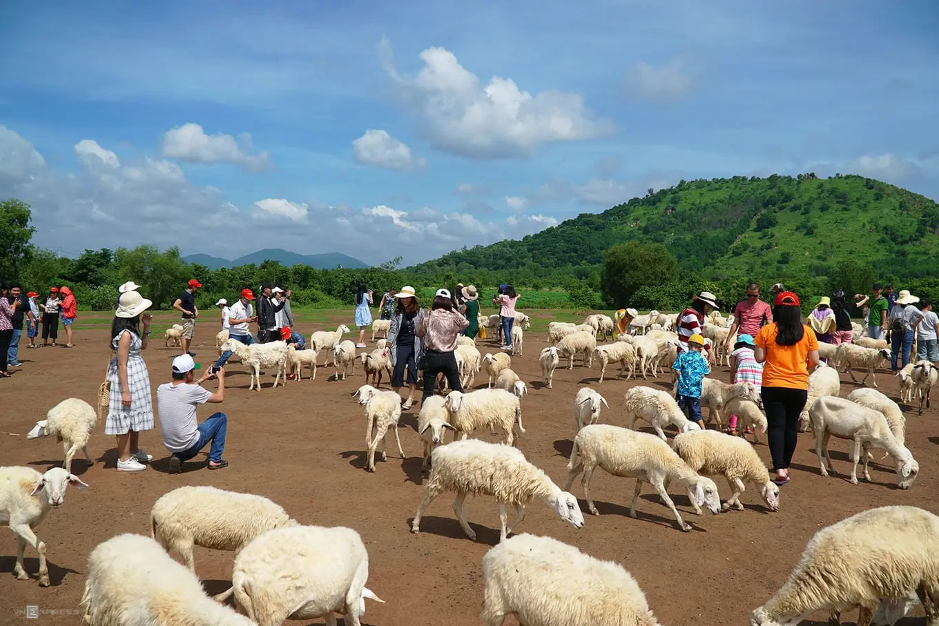 Lịch tr&igrave;nh kh&aacute;m ph&aacute; C&aacute;nh đồng cừu - Zenna Pool Camp trong 1 ng&agrave;y 13