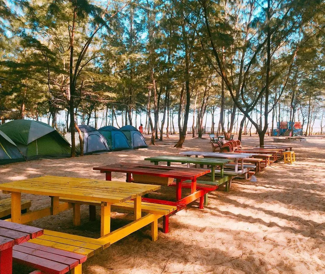 Lịch trình khám phá Cánh đồng cừu - Zenna Pool Camp trong 1 ngày