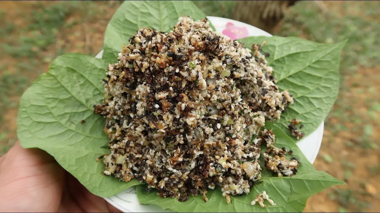 Kh&aacute;m ph&aacute; đặc sản Trứng kiến Y&ecirc;n B&aacute;i - M&oacute;n ngon kh&ocirc;ng tưởng từ miền T&acirc;y Bắc 5