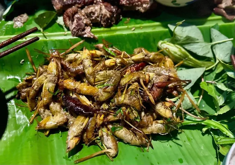 Kh&aacute;m ph&aacute; Muồm muỗm rang Mường L&ograve;, Đặc sản độc đ&aacute;o Y&ecirc;n B&aacute;i 7