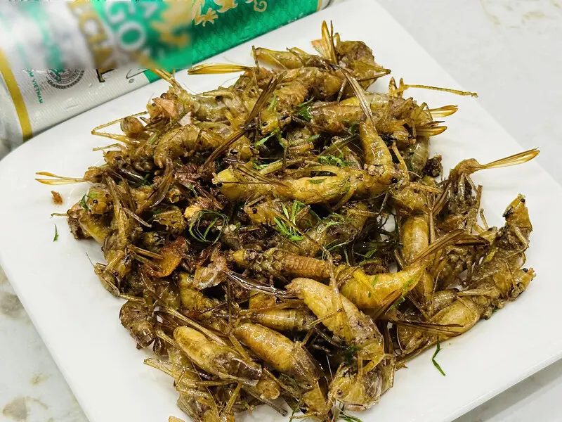 Kh&aacute;m ph&aacute; Muồm muỗm rang Mường L&ograve;, Đặc sản độc đ&aacute;o Y&ecirc;n B&aacute;i 8