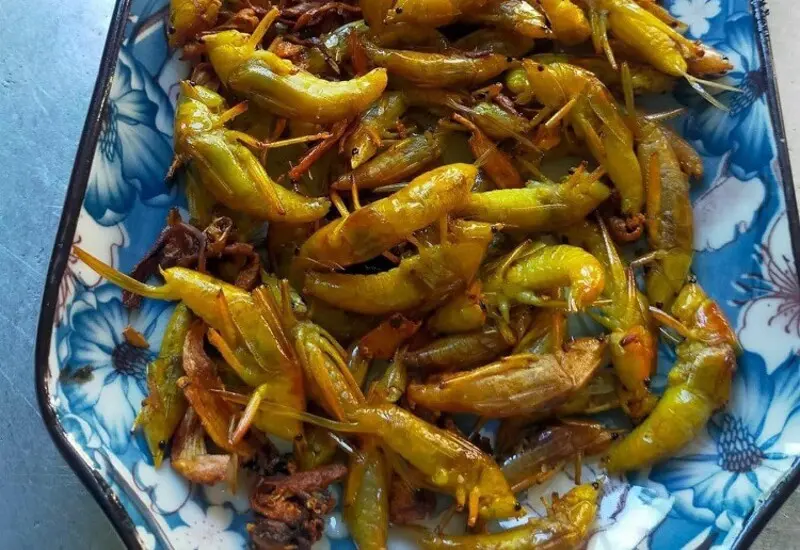 Kh&aacute;m ph&aacute; Muồm muỗm rang Mường L&ograve;, Đặc sản độc đ&aacute;o Y&ecirc;n B&aacute;i 5