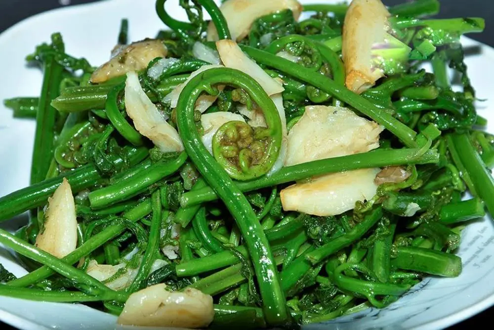 Khám Phá Rau Dớn Mường Lò – Đặc Sản Núi Rừng Tây Bắc Không Thể Bỏ Lỡ 5