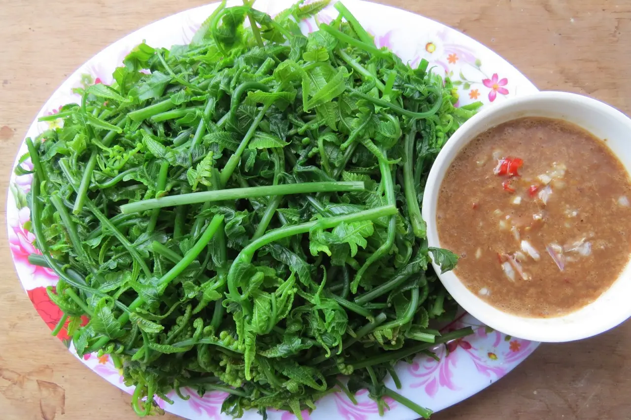 Khám Phá Rau Dớn Mường Lò – Đặc Sản Núi Rừng Tây Bắc Không Thể Bỏ Lỡ 3