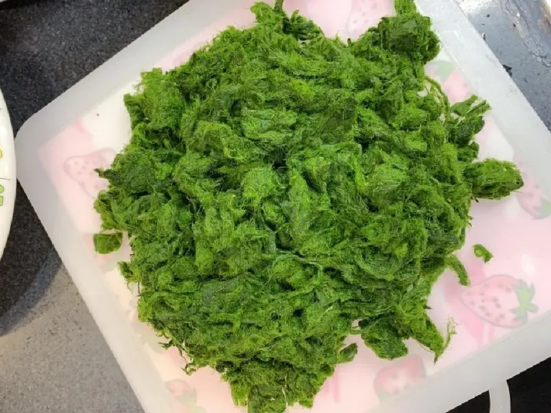 Rêu suối Mường Lò Yên Bái và sự tích bên dòng sông Thia 3