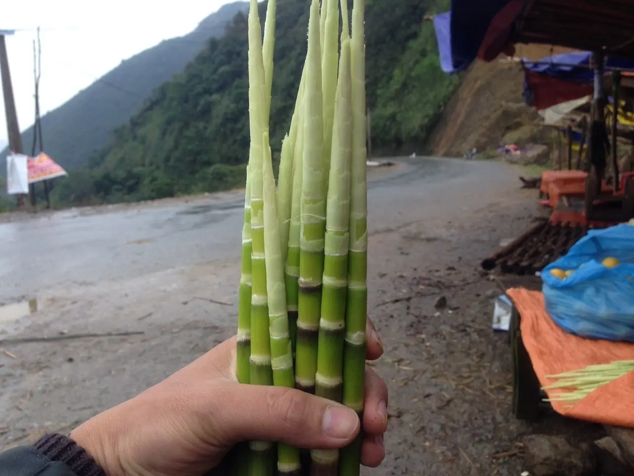 Thưởng thức đặc sản n&uacute;i rừng Măng sặt của v&ugrave;ng đất Y&ecirc;n B&aacute;i 6