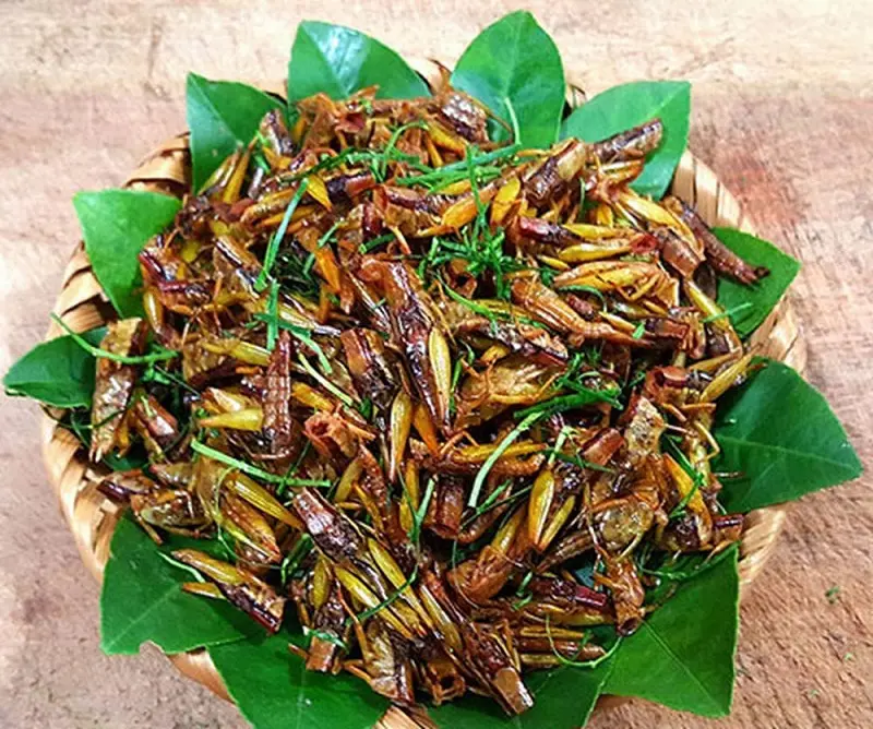 Top 15 đặc sản Y&ecirc;n B&aacute;i độc đ&aacute;o đậm chất n&uacute;i rừng 8