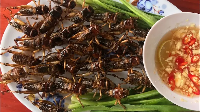 Top 15 đặc sản Y&ecirc;n B&aacute;i độc đ&aacute;o đậm chất n&uacute;i rừng 5