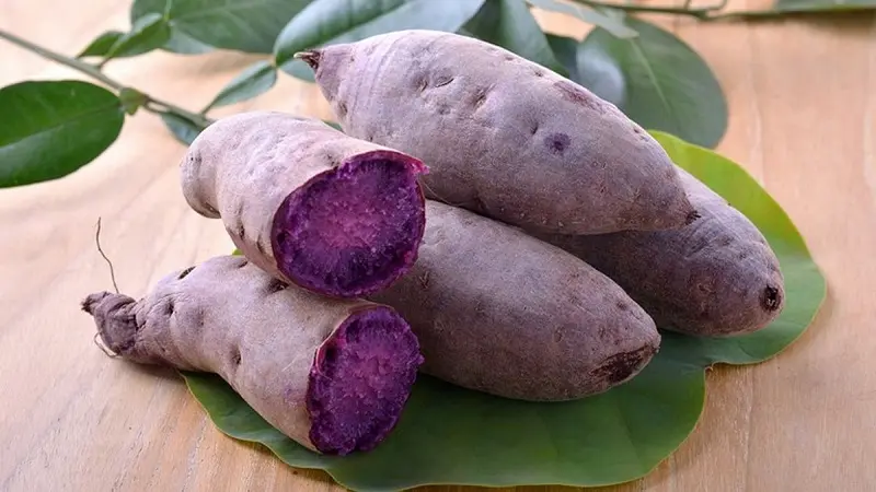Top 15 đặc sản Y&ecirc;n B&aacute;i độc đ&aacute;o đậm chất n&uacute;i rừng 16