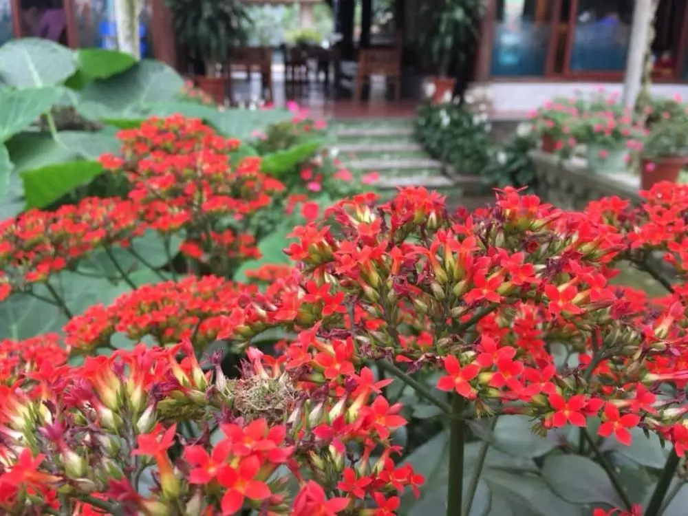 Vừa ăn vừa ngắm view s&ocirc;ng, sao lại kh&ocirc;ng với Nh&agrave; h&agrave;ng Thuyền Ch&agrave;i 15
