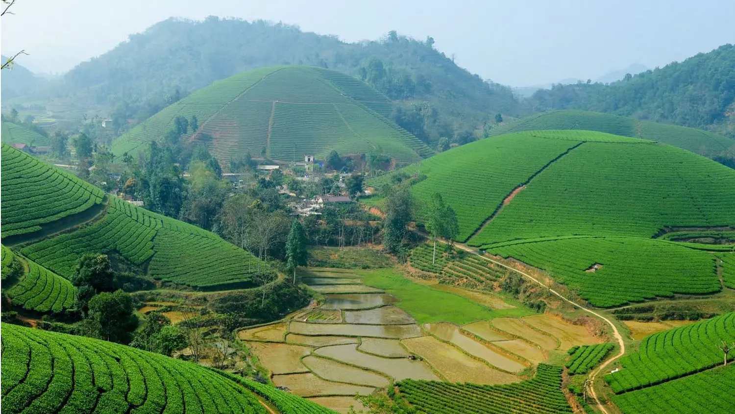 Hướng dẫn di chuyển đến Suối Gi&agrave;ng - Tọa độ sống ảo đẹp hết lời 4