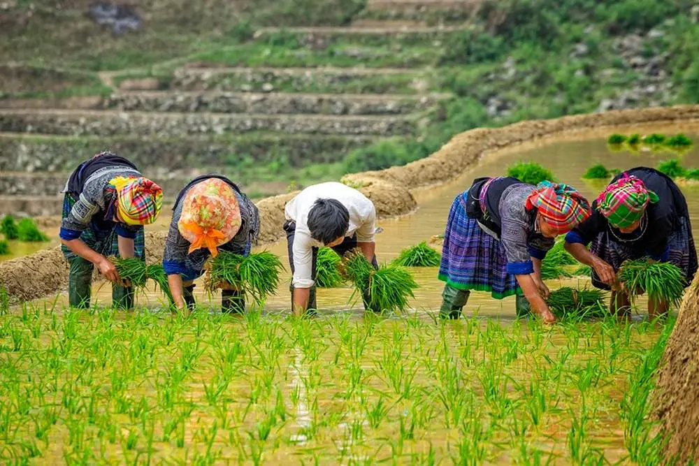 Kinh nghiệm v&agrave; Hướng dẫn di chuyển đến T&uacute; Lệ 4