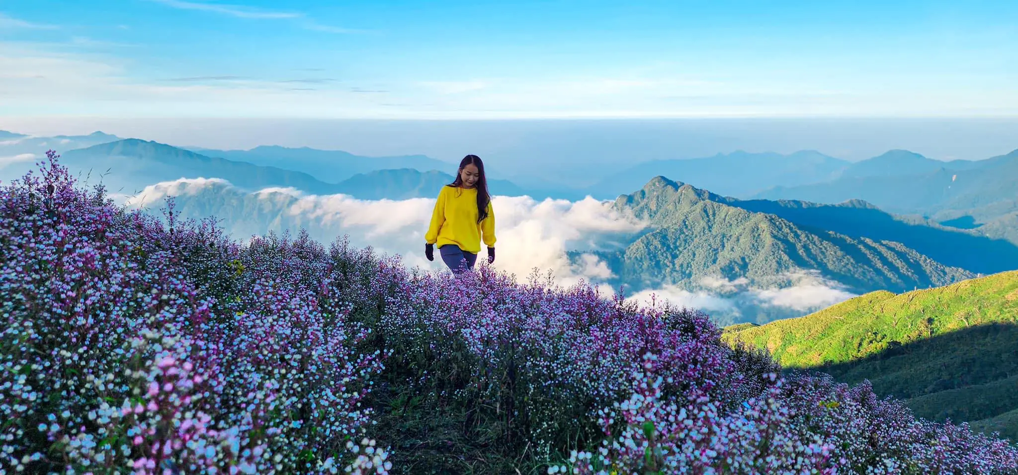 Chiêm ngưỡng Tà Chì Nhù lộng lẫy trong bộ ảnh của bạn Lý Phương Thanh