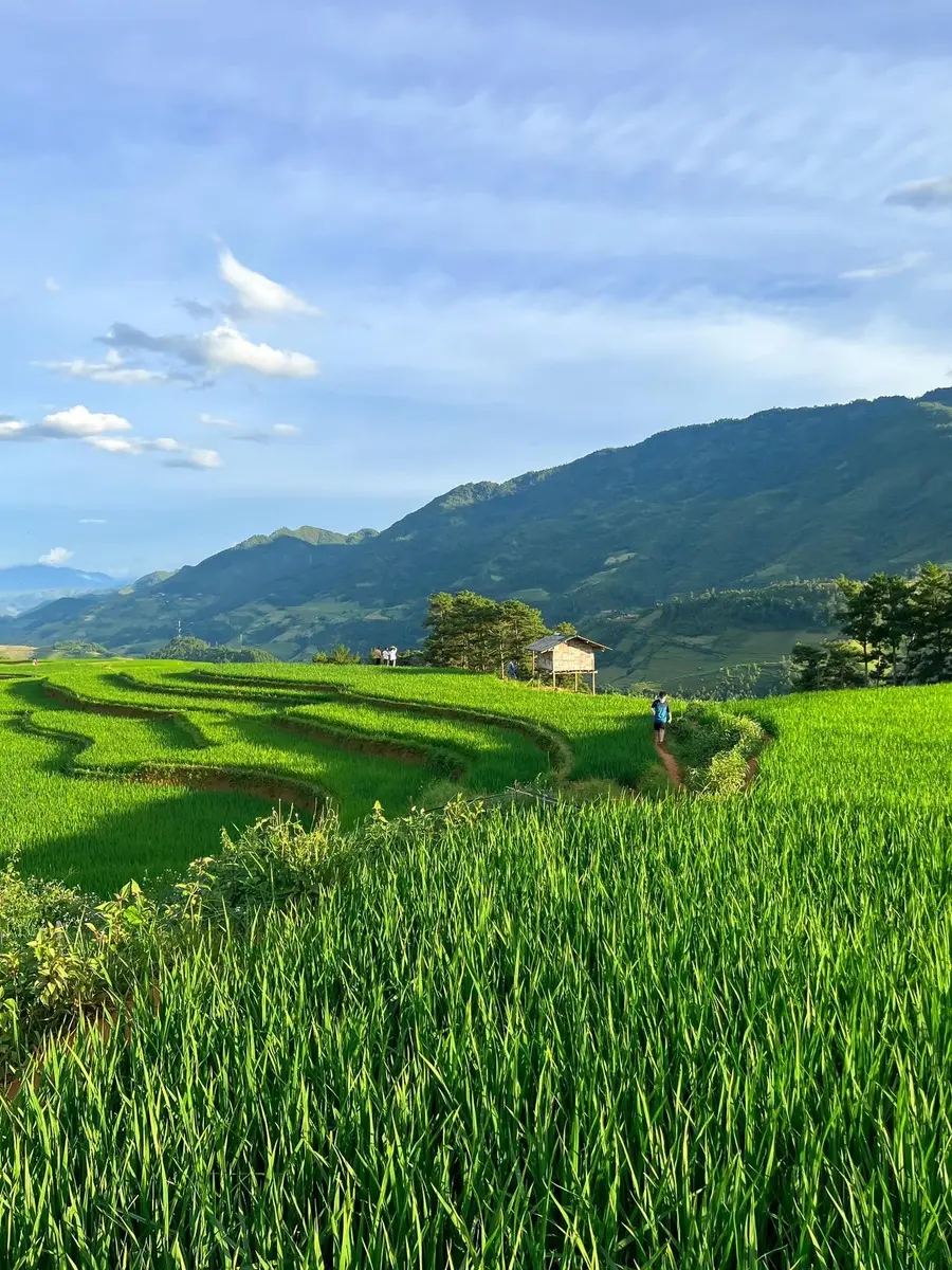 Chi&ecirc;m ngưỡng M&ugrave; Cang Chải, vẻ đẹp thanh b&igrave;nh v&agrave; h&ugrave;ng vĩ nơi T&acirc;y Bắc 5