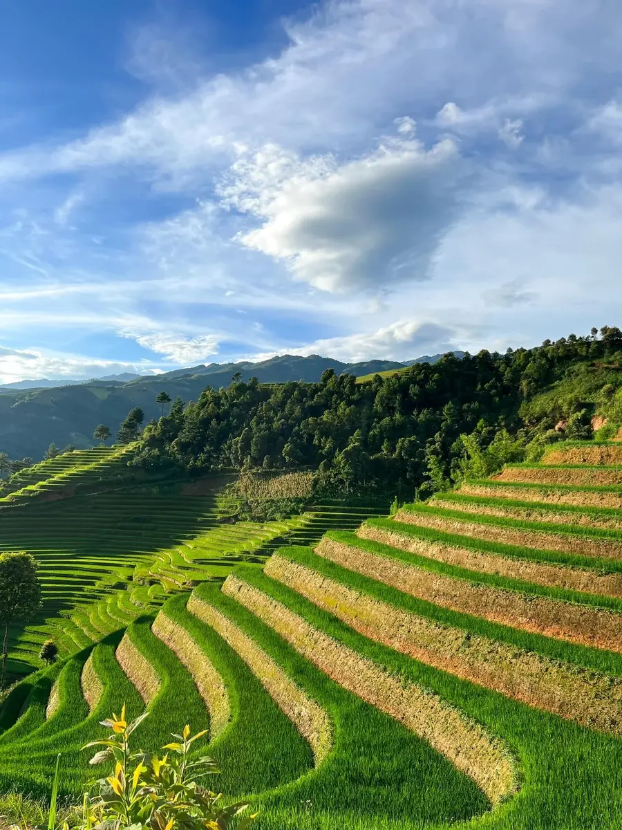 Chi&ecirc;m ngưỡng M&ugrave; Cang Chải, vẻ đẹp thanh b&igrave;nh v&agrave; h&ugrave;ng vĩ nơi T&acirc;y Bắc 6