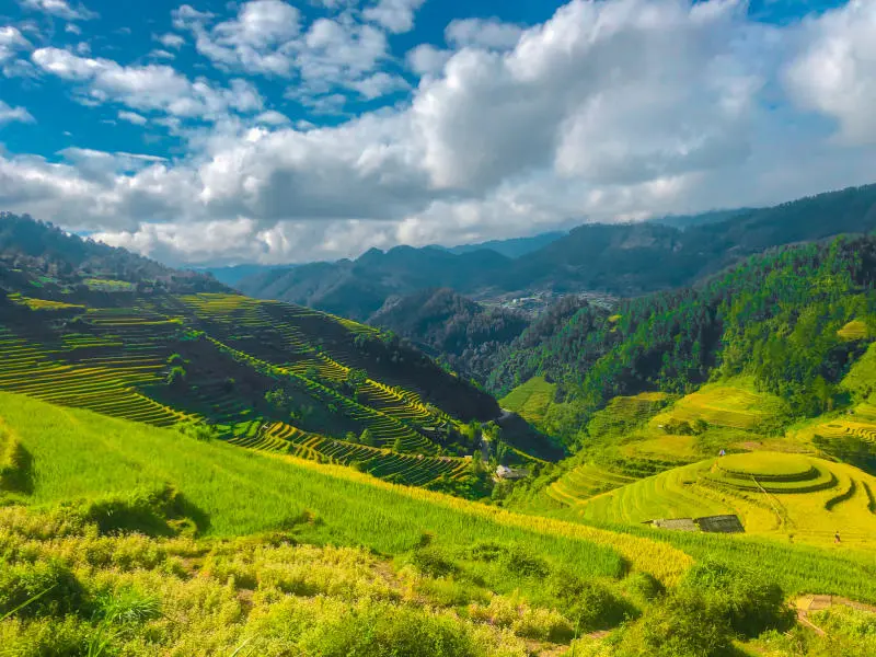 Chinh phục M&ugrave; Cang Chải 2N1Đ v&agrave;o m&ugrave;a v&agrave;ng đẹp như tranh vẽ 3