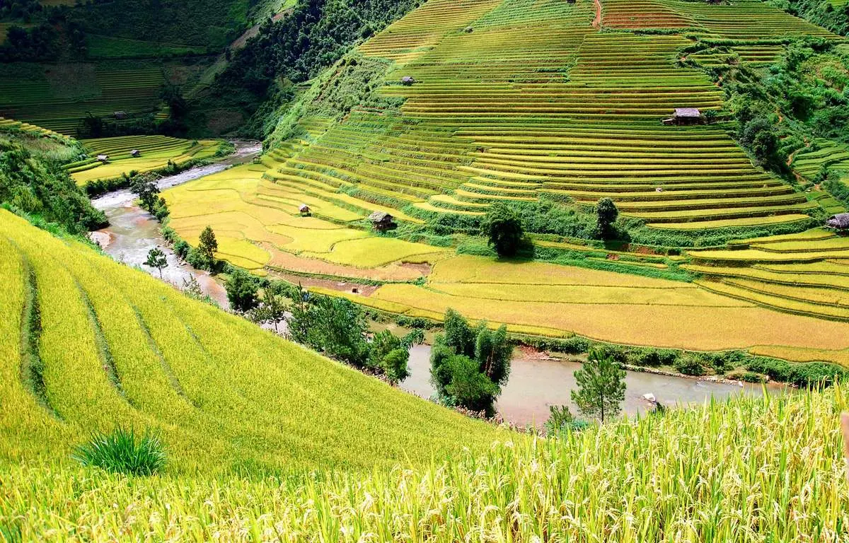 H&eacute; lộ Review T&uacute; Lệ - Y&ecirc;n B&aacute;i kh&ocirc;ng thể bỏ lỡ 2