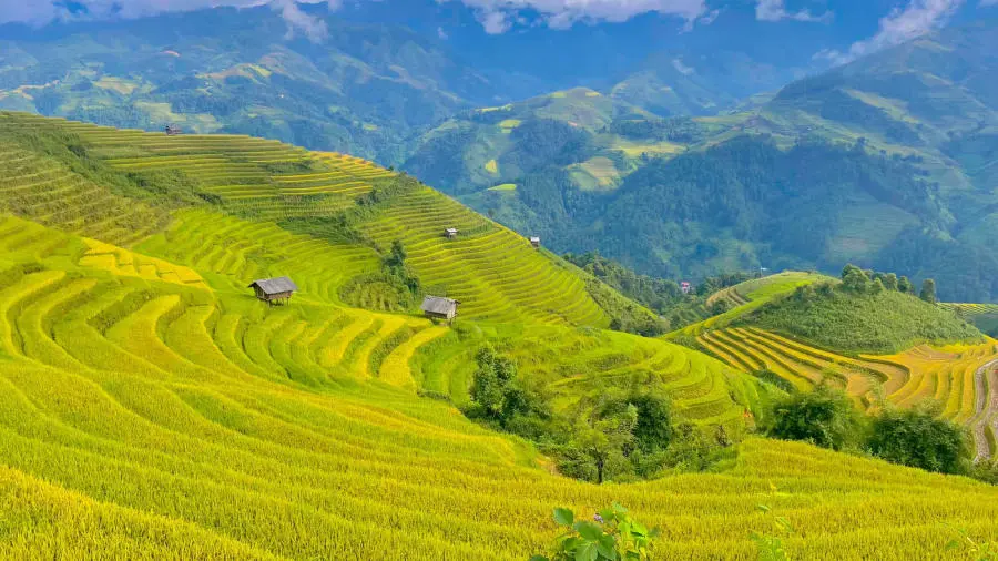 Kh&aacute;m ph&aacute; C&aacute;c thửa ruộng bậc thang M&ugrave; Cang Chải đẹp đắm say 2