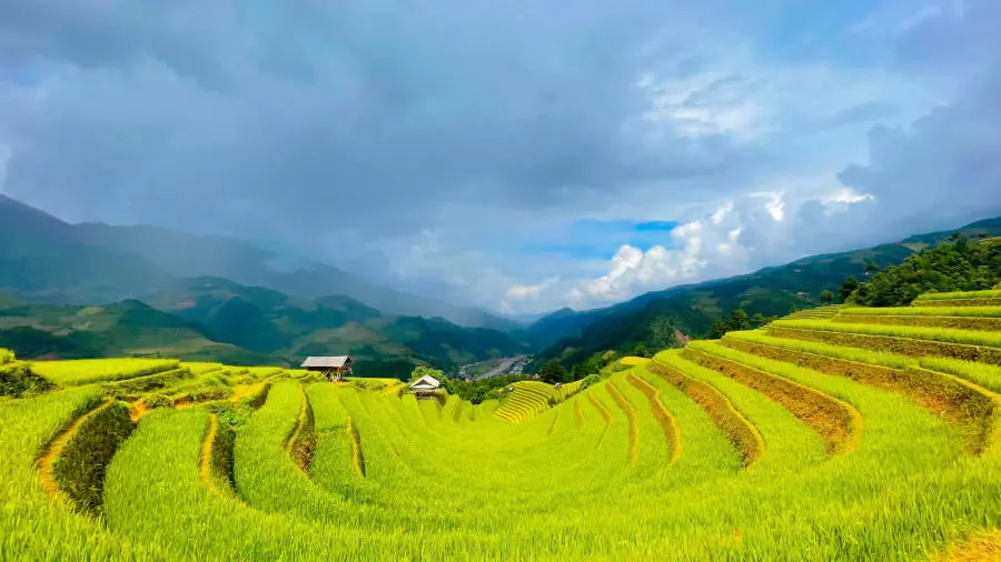 Kh&aacute;m ph&aacute; C&aacute;c thửa ruộng bậc thang M&ugrave; Cang Chải đẹp đắm say 3