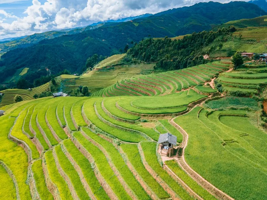 Khám phá Đồi Móng Ngựa, không gian thiên nhiên thanh tao tại Mù Cang Chải 5