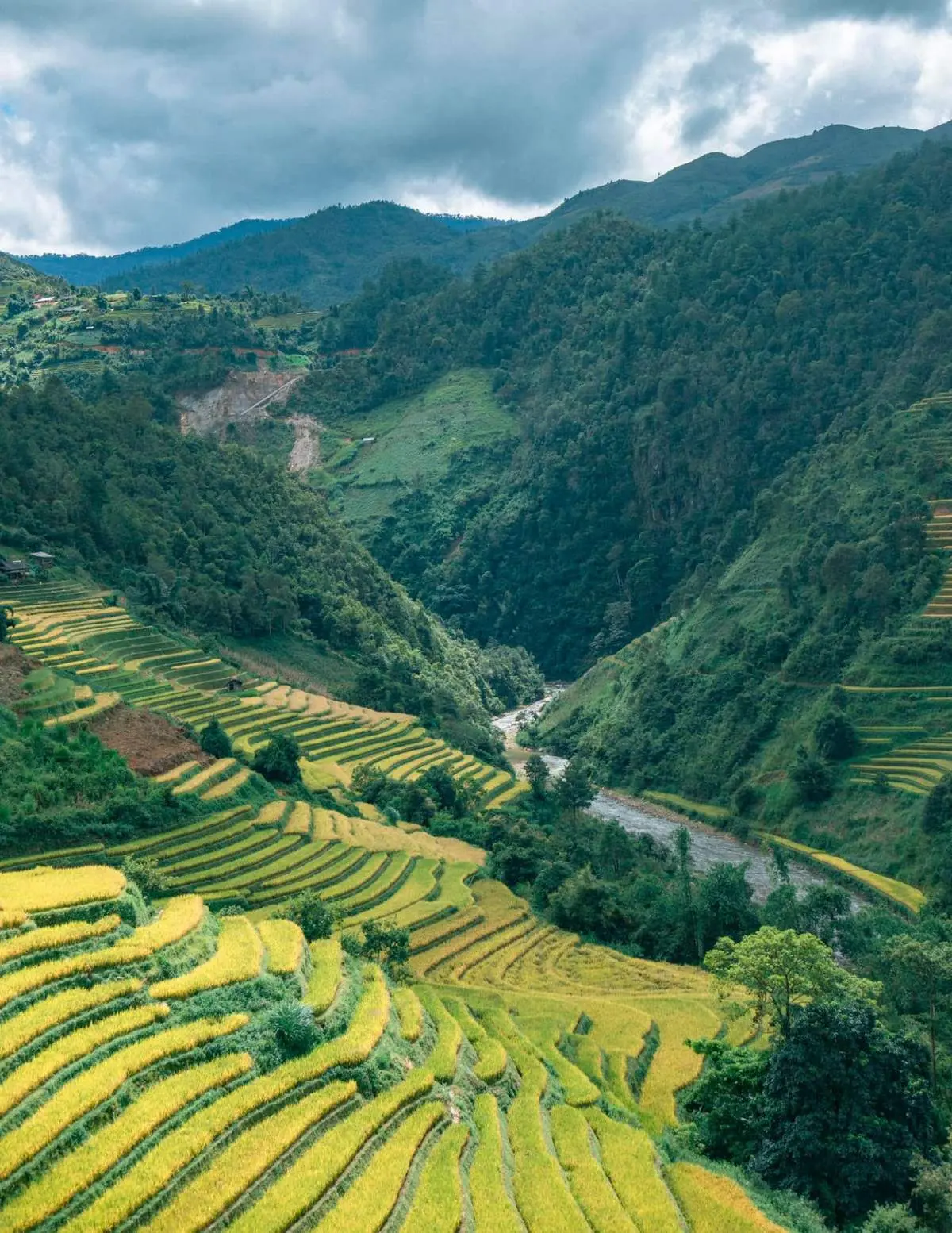 Lang thang M&ugrave; Cang Chải chi&ecirc;m ngưỡng bức tranh l&agrave;ng qu&ecirc; v&ugrave;ng cao đẹp đắm say 4