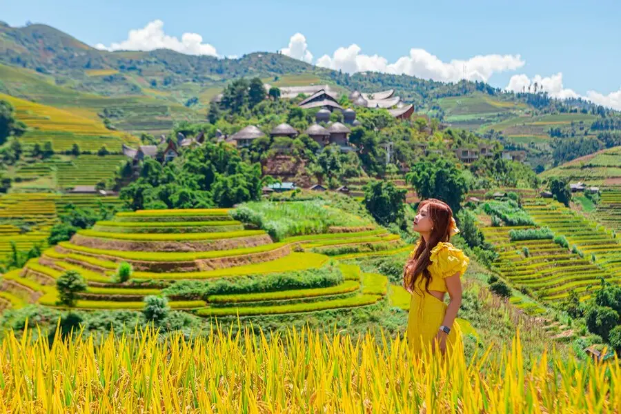 Ngắm l&uacute;a M&ugrave; Cang Chải, trải nghiệm kh&ocirc;ng thể thiếu khi đến với Y&ecirc;n B&aacute;i 2
