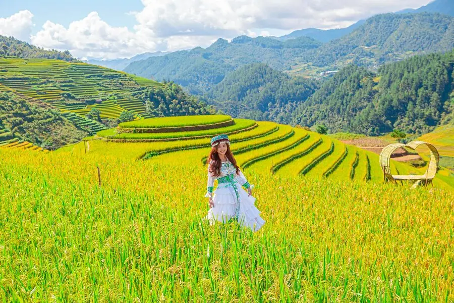 Ngắm l&uacute;a M&ugrave; Cang Chải, trải nghiệm kh&ocirc;ng thể thiếu khi đến với Y&ecirc;n B&aacute;i 5