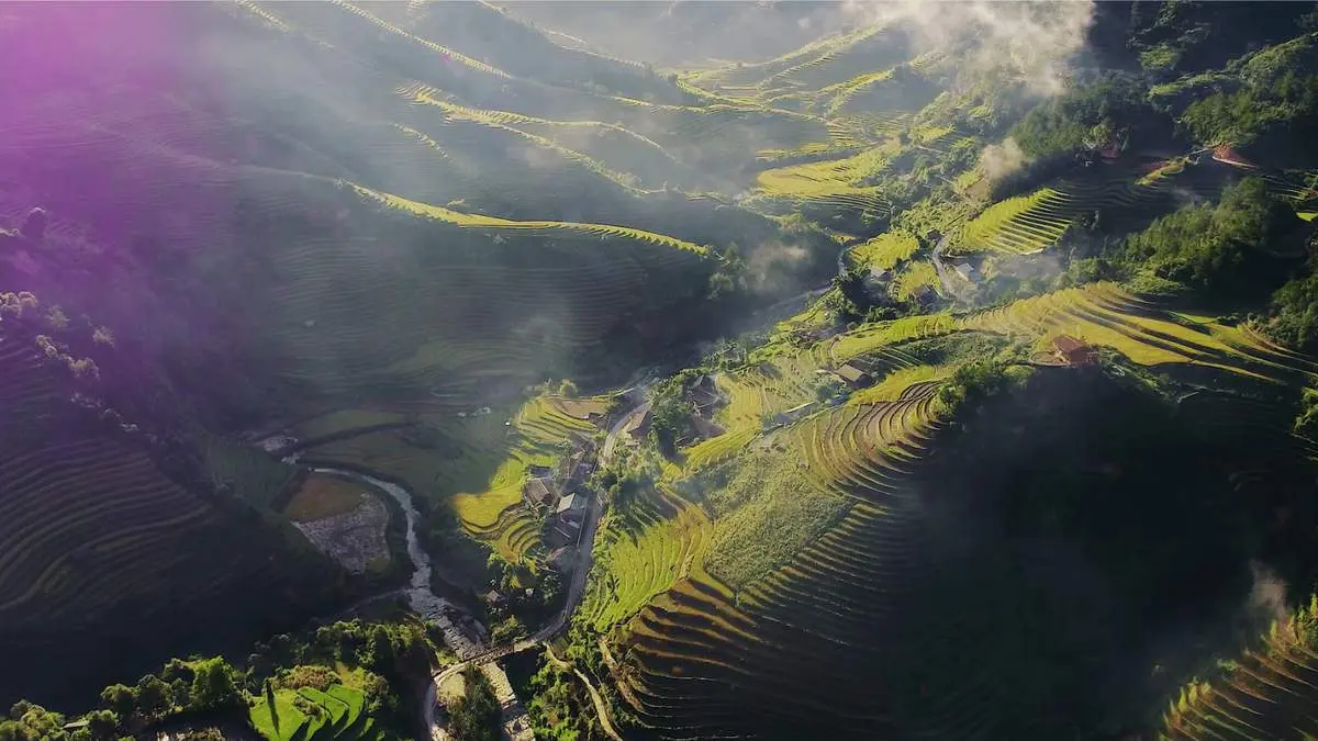 Review La P&aacute;n Tẩn - Xao xuyến ruộng bậc thang m&ugrave;a v&agrave;ng m&ecirc; hoặc 8