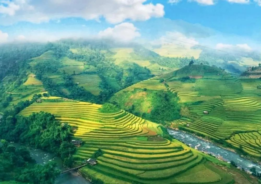 Review M&ugrave; Cang Chải - Hương l&uacute;a g&oacute;i gh&eacute;m cả miền thương nhớ 6